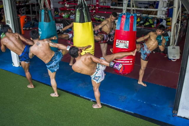 From Novice to Warrior – Elevate Your Skills at a Muay Thai Gym in Thailand